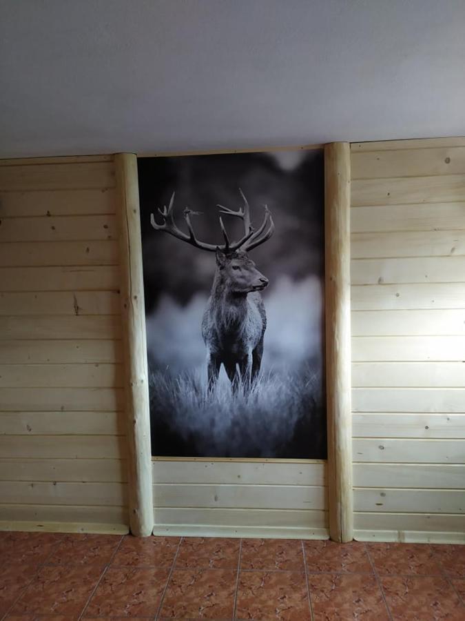 Janos Pokoje Goscinne Białka Tatrzańska Exterior foto